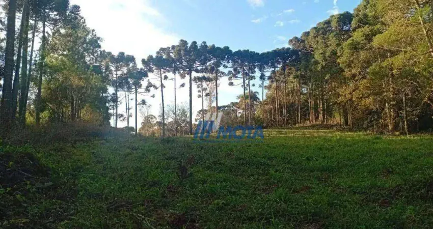 Chácara / sítio à venda na Rua José Martinez Cano, Planta Granjas Eldorado, Piraquara