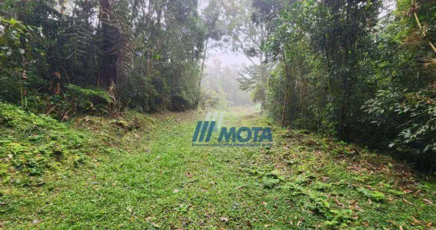 Ótima área a venda campo largo com 11,8 alqueires com nascentes e córrego que passa pela área, estradas interna,