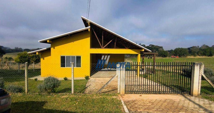 Chácara com 3 dormitórios para alugar, 1000 m² por R$ 3.500/mês - Borda Do Campo - São José dos Pinhais/PR