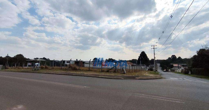 Terreno à venda, 499 m² por R$ 290.000 - Guatupê - São José dos Pinhais/PR