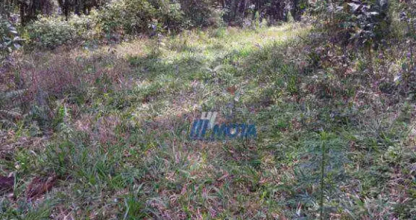 Área à venda, 216680 m² por r$ 2.100.000,00 - planta são tiago - piraquara/pr