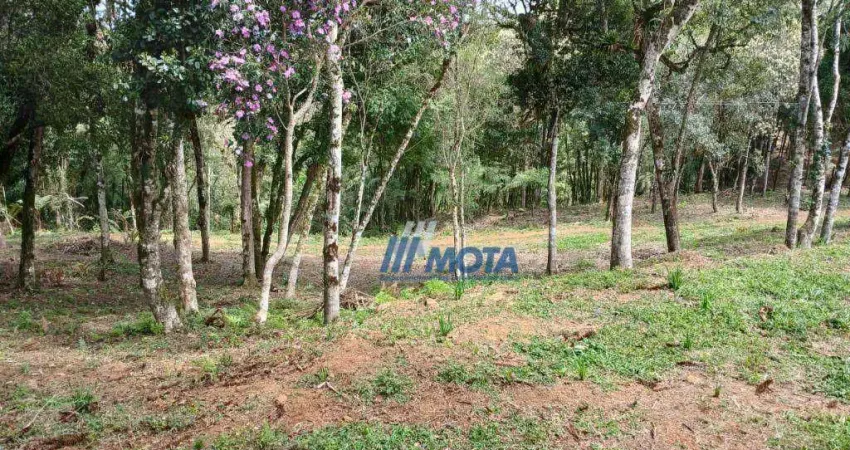 Terreno à venda na Rua do Café, Jardim Bela Vista, Piraquara