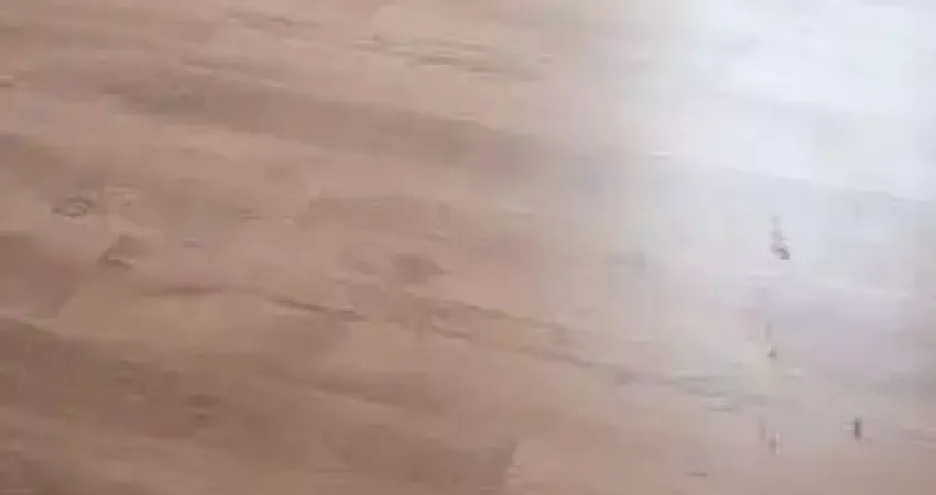 Apartamento com 2 dormitórios para alugar, 60 m² por r$ 2.500,00/mês - paulicéia - são bernardo do campo/sp