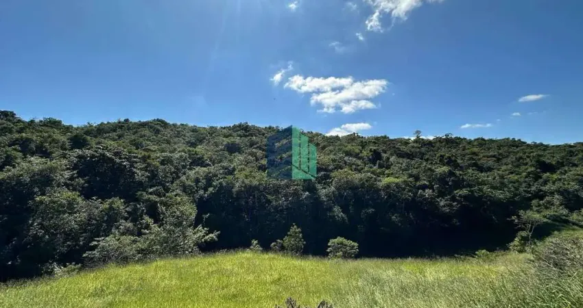 Fazenda à venda na Rua 9, 99, Azurita, Mateus Leme