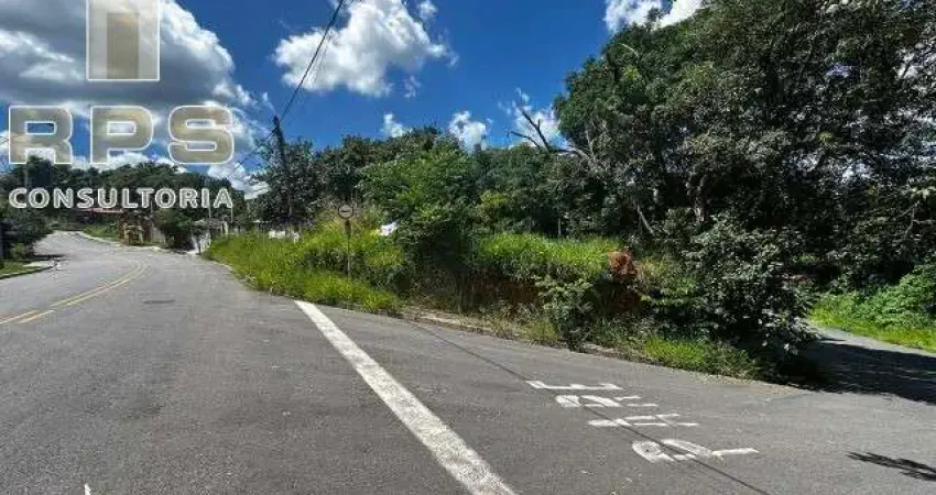 Terreno no Jardim Paulista, boa topografia e preço abaixo do m2 da região.