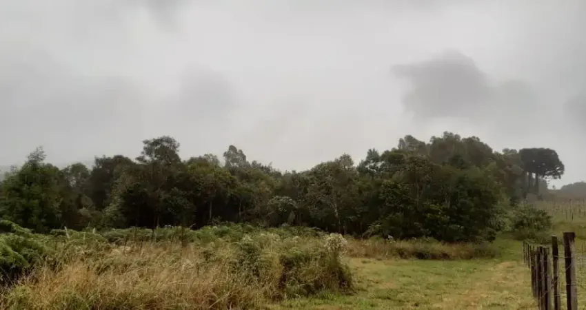 Chácara / sítio à venda no Boa Vista do Herval, Santa Maria do Herval 