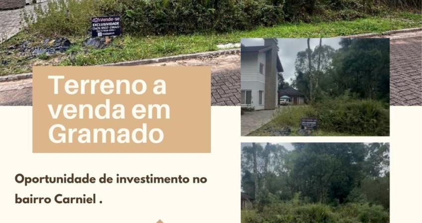 Terreno no Bairro Carniel