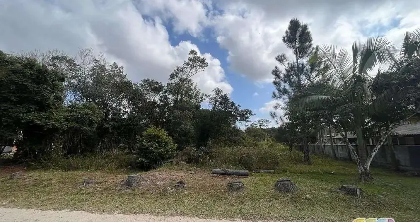 Terreno comercial à venda na rua estrada geral da gamboa, Praia do Ervino, São Francisco do Sul