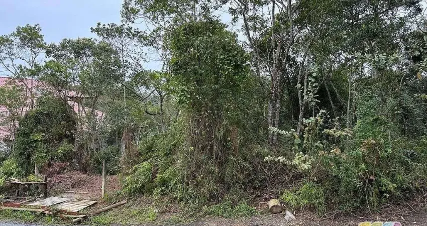 Terreno à venda na Rua josé conceição, Paulas, São Francisco do Sul