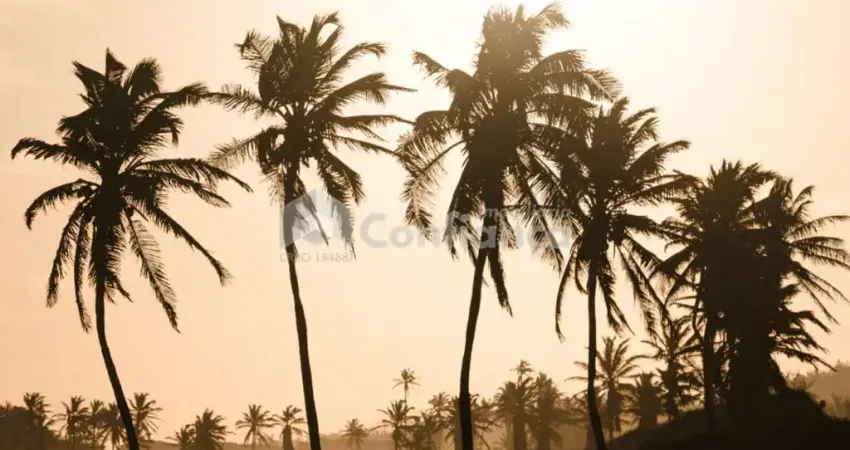 Terreno em condomínio fechado à venda na R. Adão Martins, Catuana, Caucaia