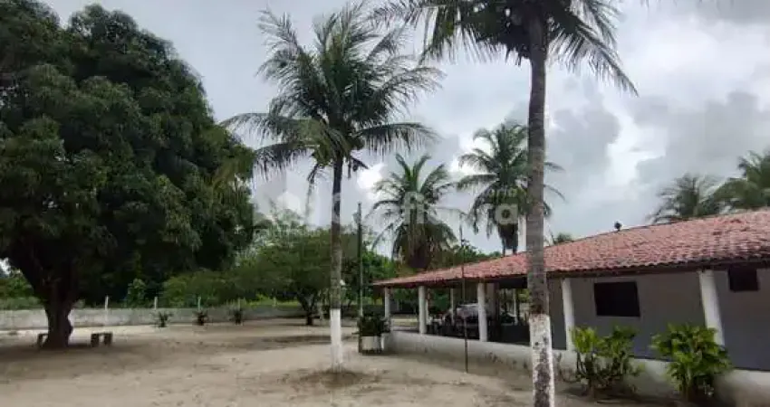 Chácara / sítio à venda na Avenida Paulo Yamazaki, Centro, Pindoretama