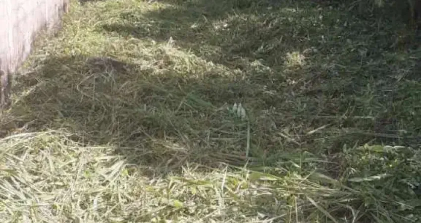 Terreno à venda no Verde Mar, Itanhaém 