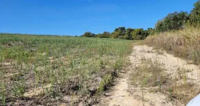 Sítio à venda, 20000 m² por R$ 360.000,00 - Area Rural - Cosmópolis/SP