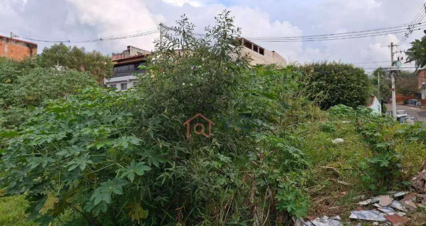Terreno à venda, 860 m² por R$ 480.000,00 - Jardim Mônica - Itaquaquecetuba/SP