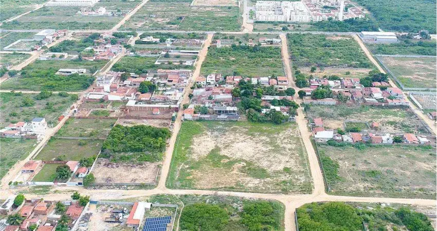 Oportunidade única de investimento terreno no Parque das Árvores 10.000m²