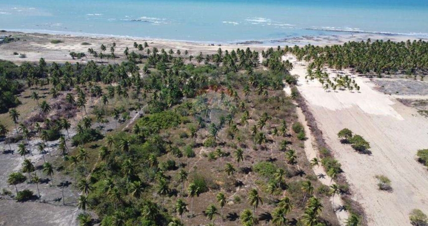 Terrenos beira mar a venda em São Miguel do Gostoso