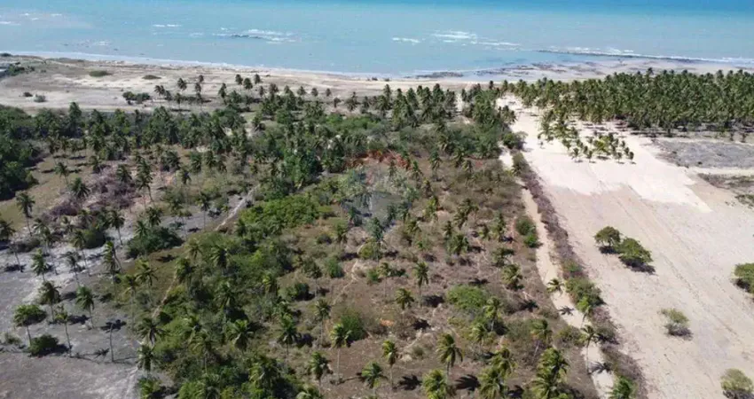Terreno beira mar a venda próximo a  São Miguel do Gostoso