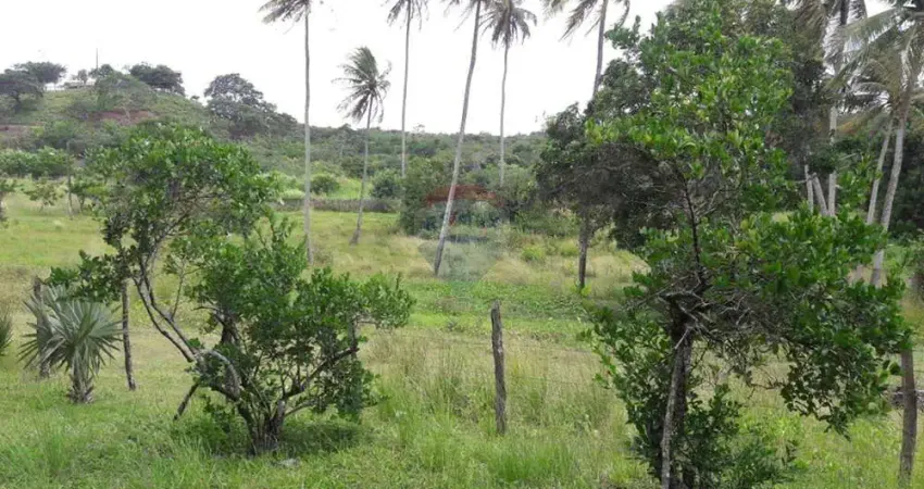Chacara á venda com 40 hectares em maciba. excelente localizaçâo.