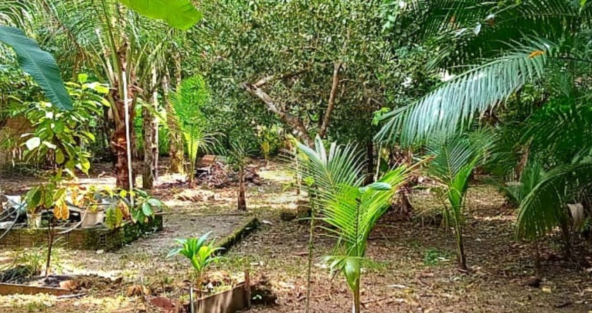 Chácara / sítio com 3 quartos à venda na Rua Taboca, 100, Balbina, Presidente Figueiredo
