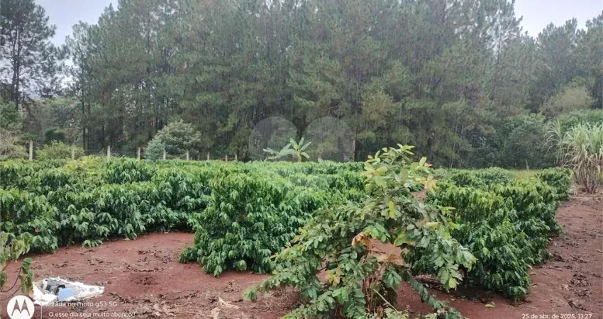 Chácara / sítio à venda na Avenida Antonio Batista De Proença, S/N, Campo Grande, Pilar do Sul