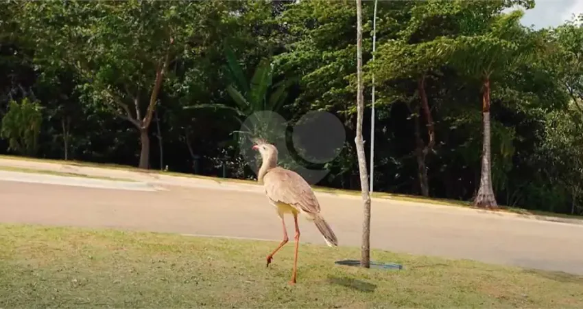 Terreno à venda no condomínio up residencial, votorantim - sp
