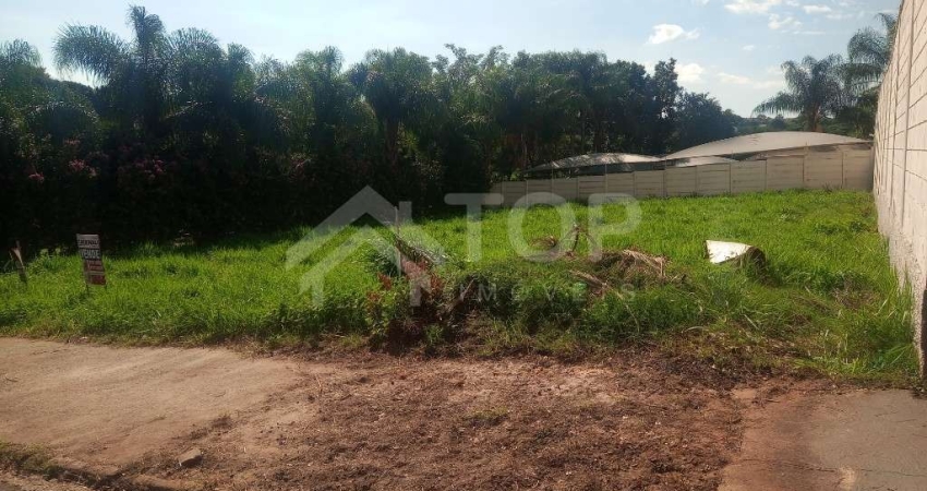 Terreno inteiro a Venda no  Jardim Ricetti, com 310 metros, A 10 METROS da Av. Comendador Alfredo Maffei, Aceita financiamento