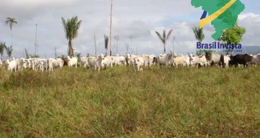 Fazenda à venda no Centro, Buerarema