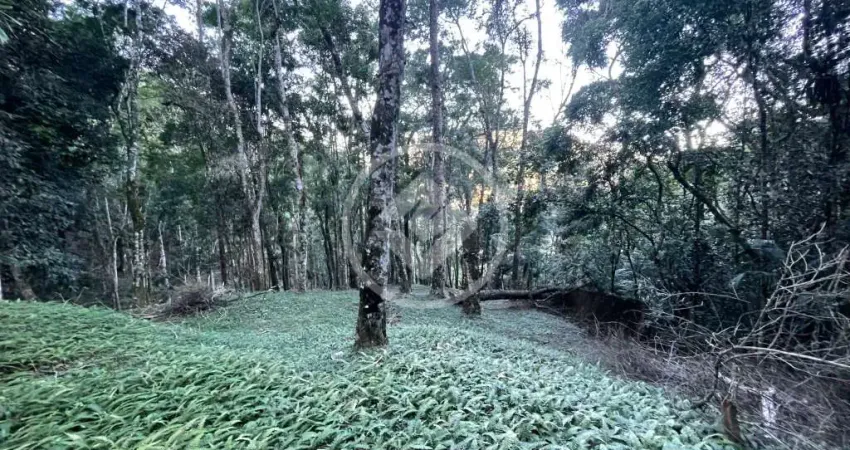 Terreno declive 5025m², alto, teresópolis/rj codigo: 123661