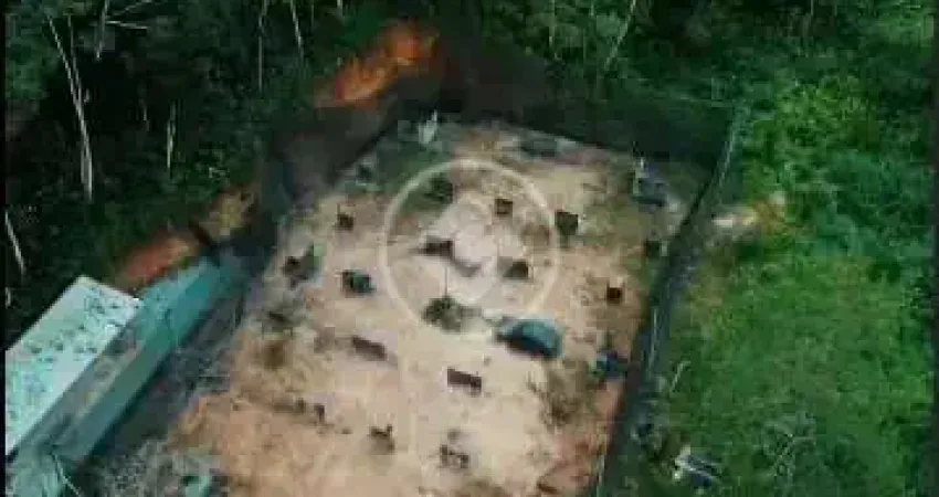 Terreno de 6400m², 95% plano, disponível em albuquerque codigo: 76759