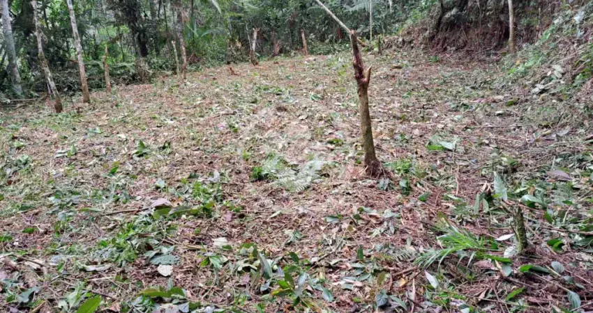 Terreno 5960 metros com platô, em vargem grande. codigo: 78855