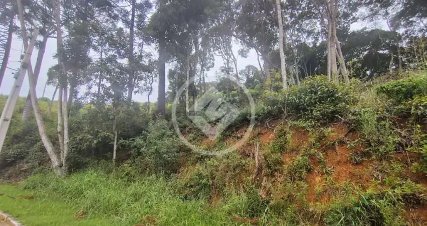 Terreno à venda no bairro da Prata - 1335 m² , R$ 385 mil Teresópolis/RJ. codigo: 274101