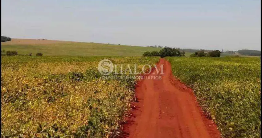 Sítio à venda em Maringá, Distrito de Floriano (Floriano), com 1 quarto, com 6 alqueires