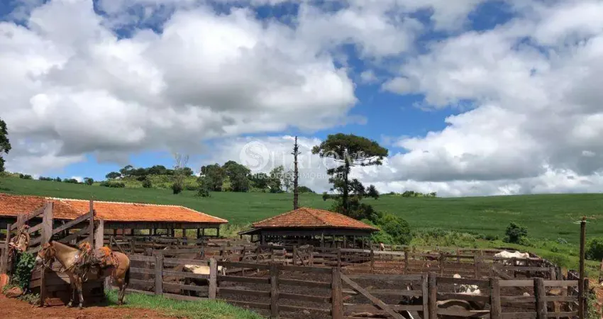 Fazenda à venda em Faxinal, Zona Rural, com 1 quarto, com 9196000 m²