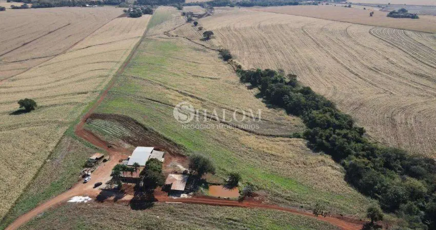 Sítio à venda em Maringá, Parque Industrial 200, com 205700 m²