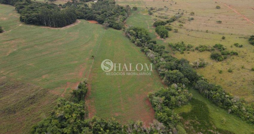 Sítio à venda em Araruna, Zona Rural, com 1 quarto, com 121000 m²