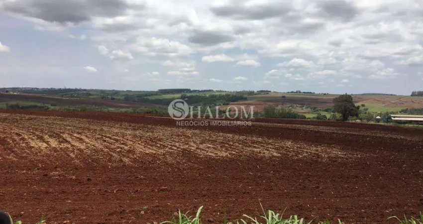 Sítio à venda em Maringá, Vila Christino, com 72600 m²