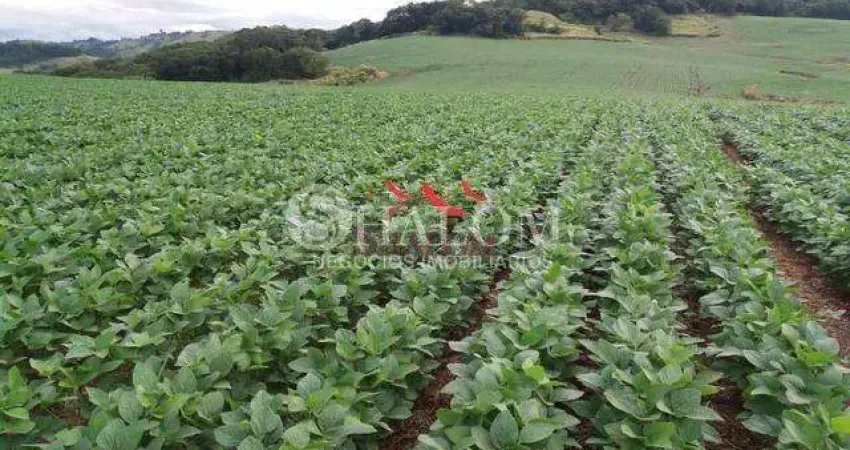 Fazenda à venda em Apucarana, Parque Industrial Zona Oeste, com 1 quarto, com 2819300 m²