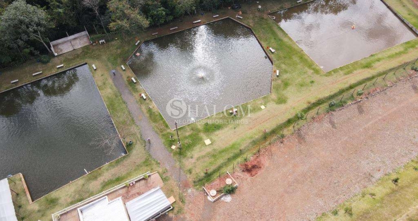 Chácara à venda em Iguaraçu, Zona Rural, com 3 quartos, com 36300 m²