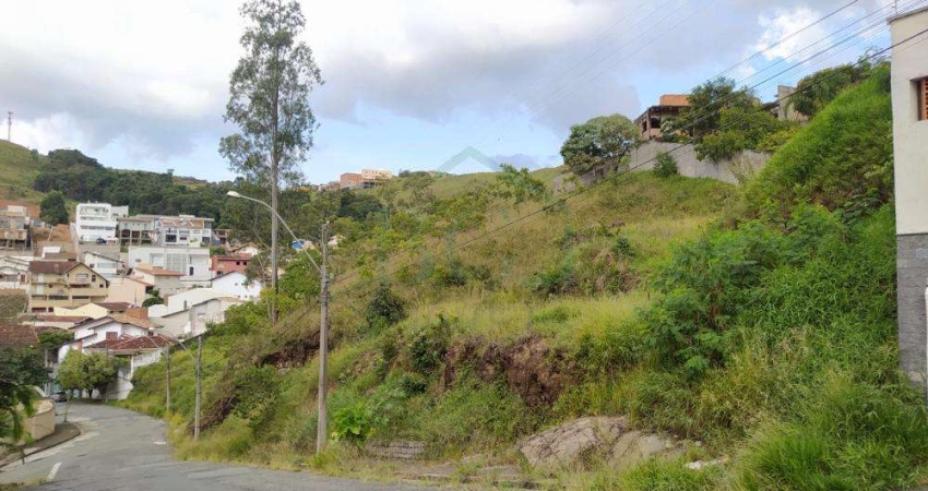 Terreno à venda no Jardim Del Rey, Poços de Caldas 