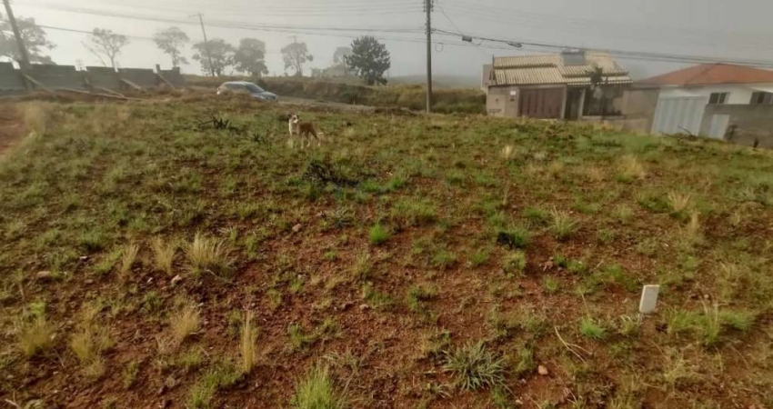 Terreno à venda no Jardim Doutor Ottoni, Poços de Caldas 
