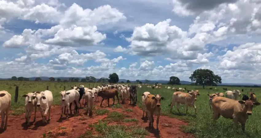 Fazenda à venda na Zona Rural, Paracatu 