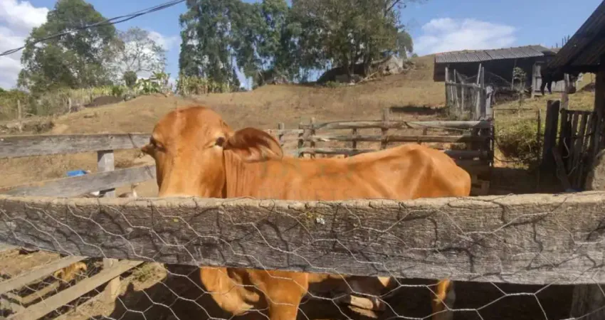 Fazenda à venda na Zona Rural, Caldas 