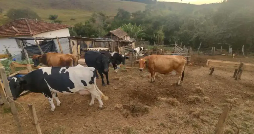 Fazenda à venda na Zona Rural, Caldas 