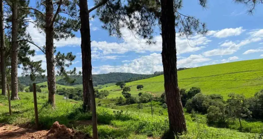 Fazenda à venda na Área Rural de Pouso Alegre, Pouso Alegre 