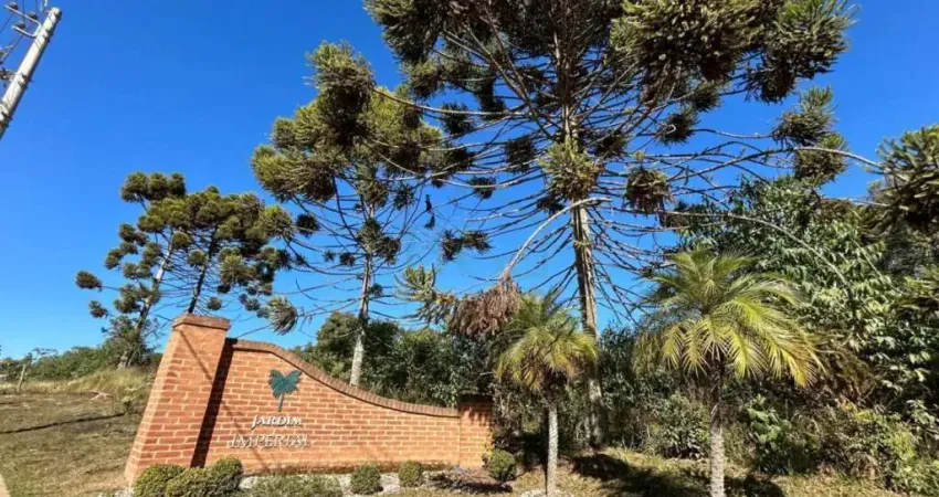 Terreno à venda no Laranjeiras de Caldas, Caldas