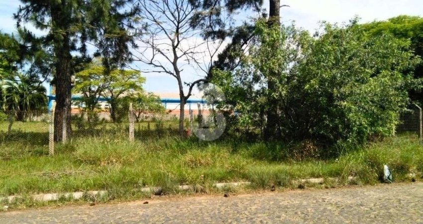 Terreno à venda no Cristo Rei, São Leopoldo 
