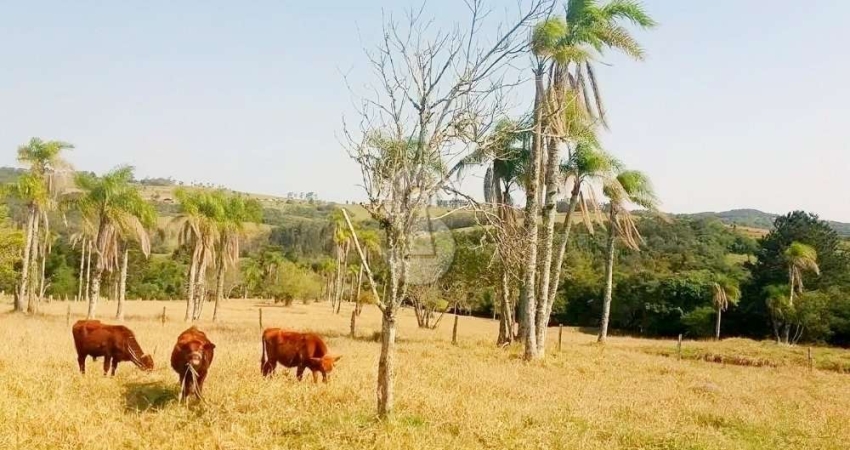 Chácara / sítio com 1 quarto à venda no Lomba Grande, Novo Hamburgo 