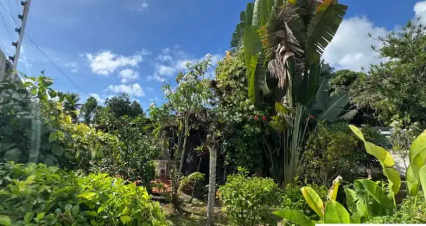 Casa com 4 quartos à venda na Jardim Savoia, Ilhéus - BA, 58, Jardim Savóia, Ilhéus