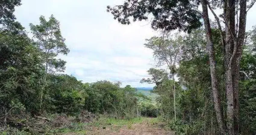 Terreno em condomínio fechado à venda na Estrada Plameiras - Caeté-Açu, Caeté -Açu, Palmeiras