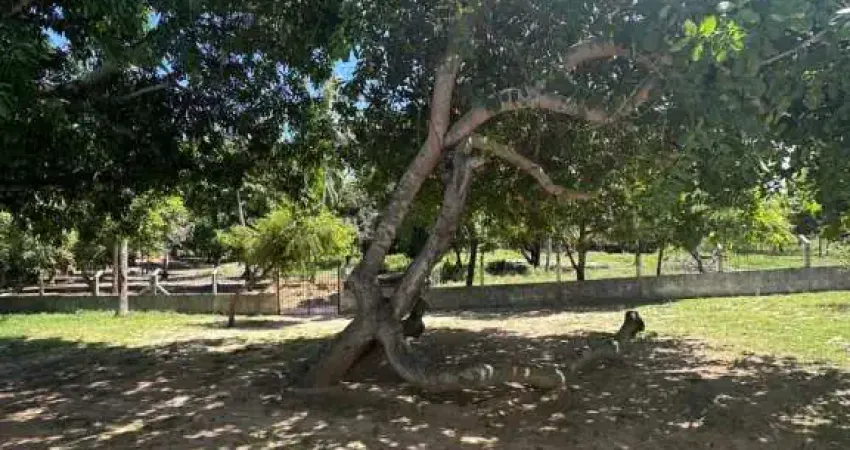 Casa com 3 quartos à venda na Rodovia dos Náufragos, 40, Mosqueiro, Aracaju